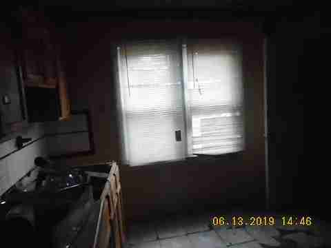 8266 Badger (30)_m.jpg